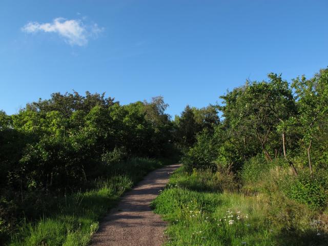 1456_2.jpg