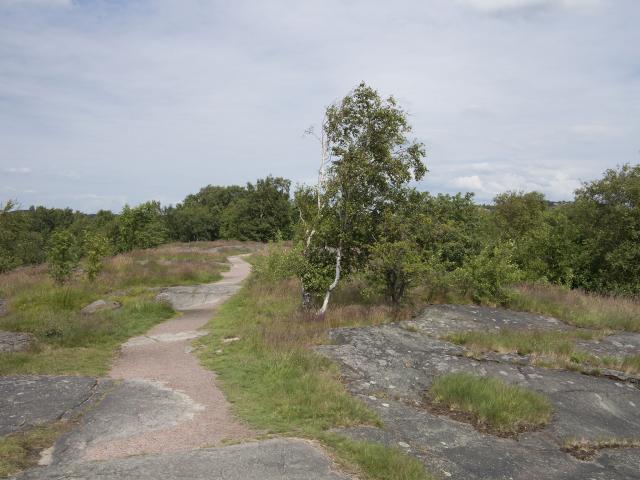 1572_2.jpg