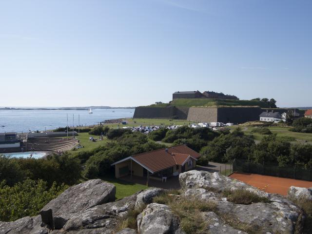 1581_1.jpg