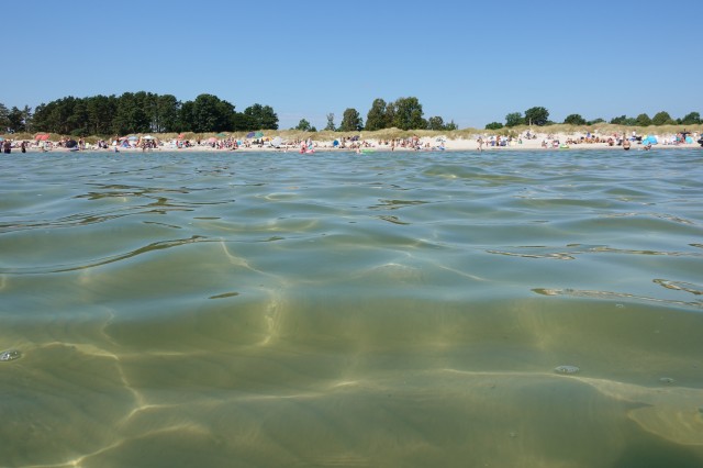 2274_4.jpg