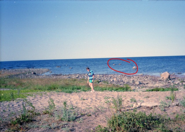 2515_1.jpg