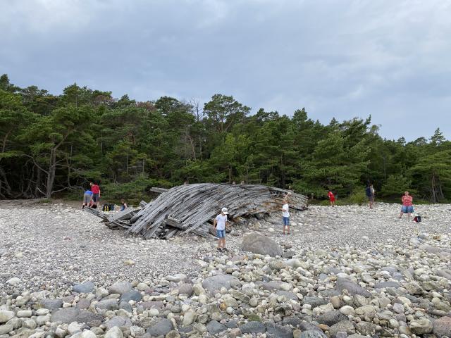 2628_4.jpg