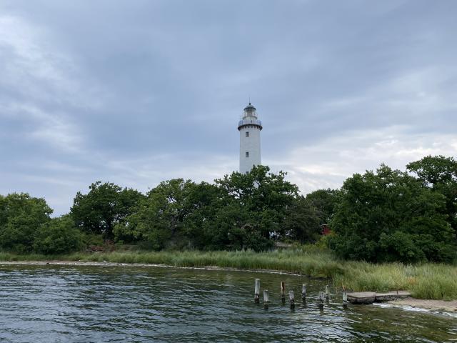 2629_2.jpg