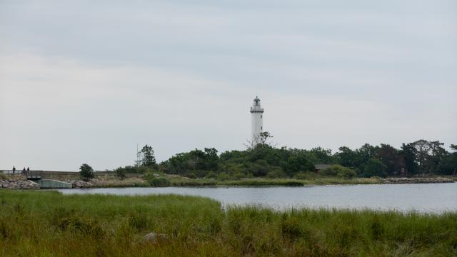 2637_1.jpg