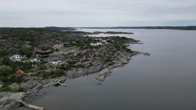 2869_2.jpg